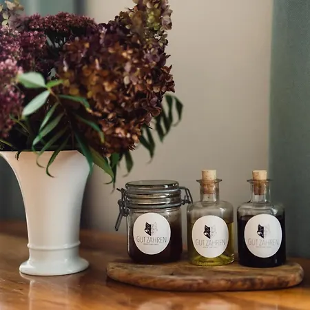 Gut Zahren Apartment *